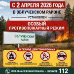 ВНИМАНИЕ! В Облученском районе введен особый противопожарный режим 