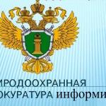 Фотодокумент я